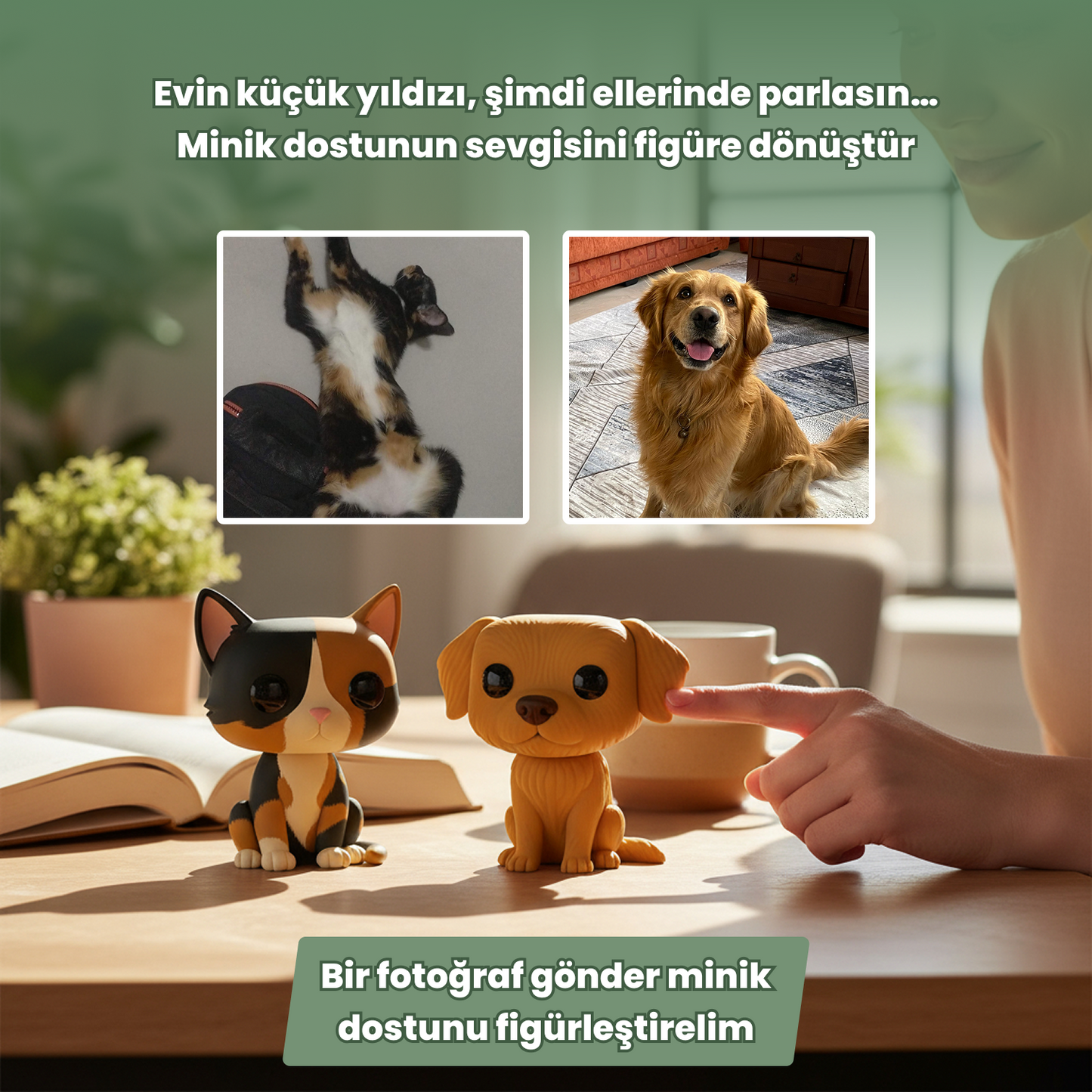 Evcil Hayvan Patileşiyor