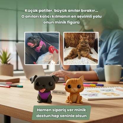 Evcil Hayvan Patileşiyor